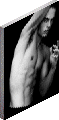 click image to download