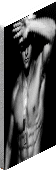 click image to download
