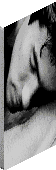 click image to download