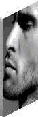 click image to download